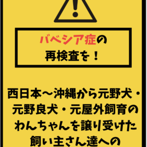 anipro