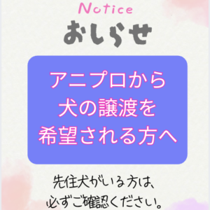 anipro