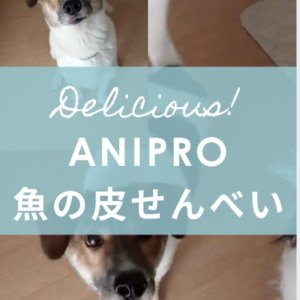 anipro